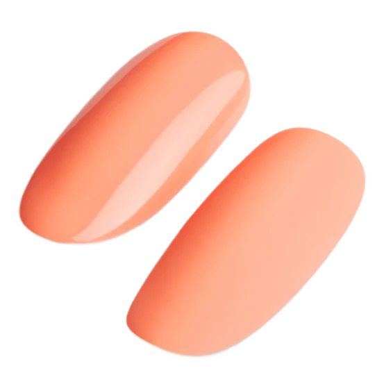 Gel Polish #286