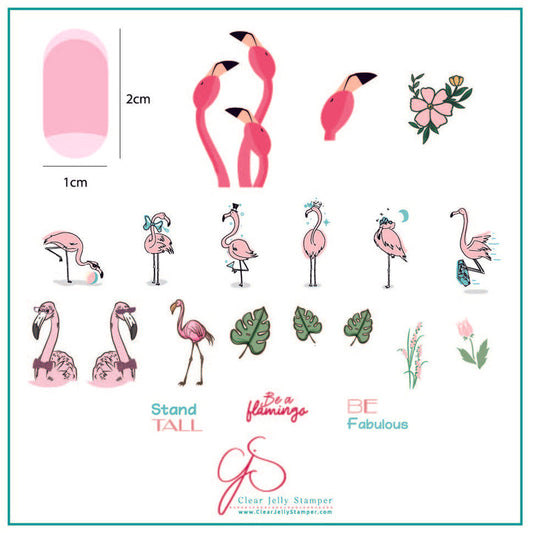 Lil Flamingo (CjS-93)
