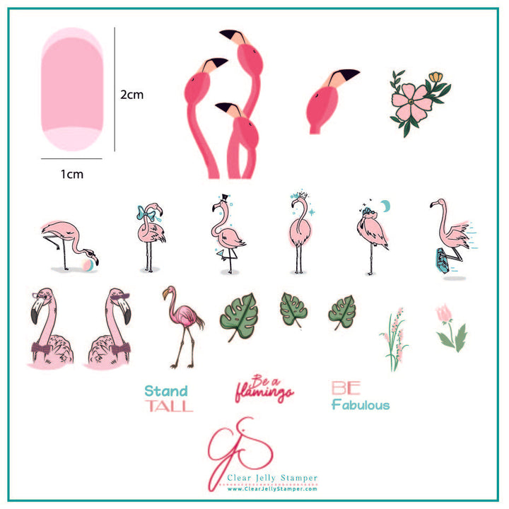 Lil Flamingo (CjS-93)
