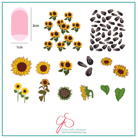 Sunflowers (CjS-163)